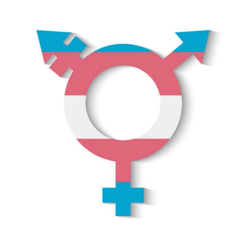 Divulgação Trans🏳️‍⚧️