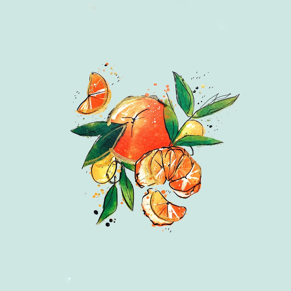 Illustration & Design