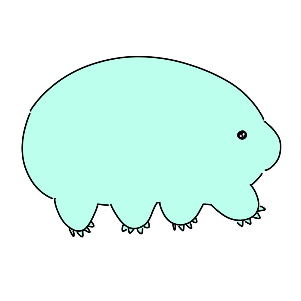 つぼちゃん🔖