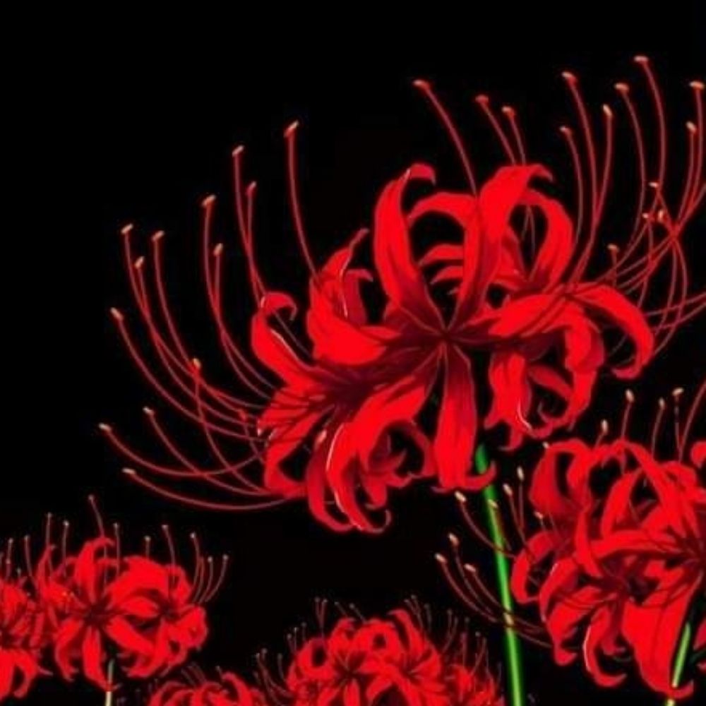 Red System