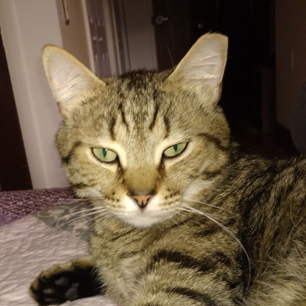 grandmompa.bsky.social profile picture
