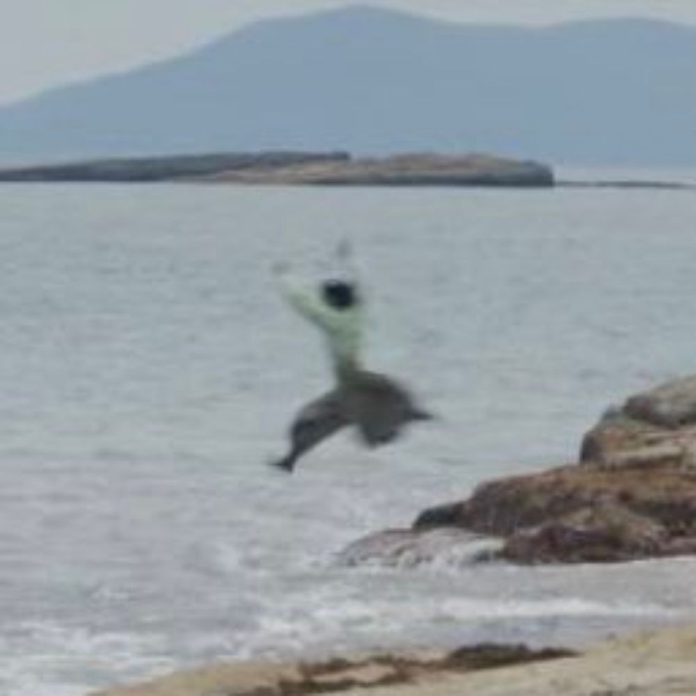 하비🐋🐬🐳