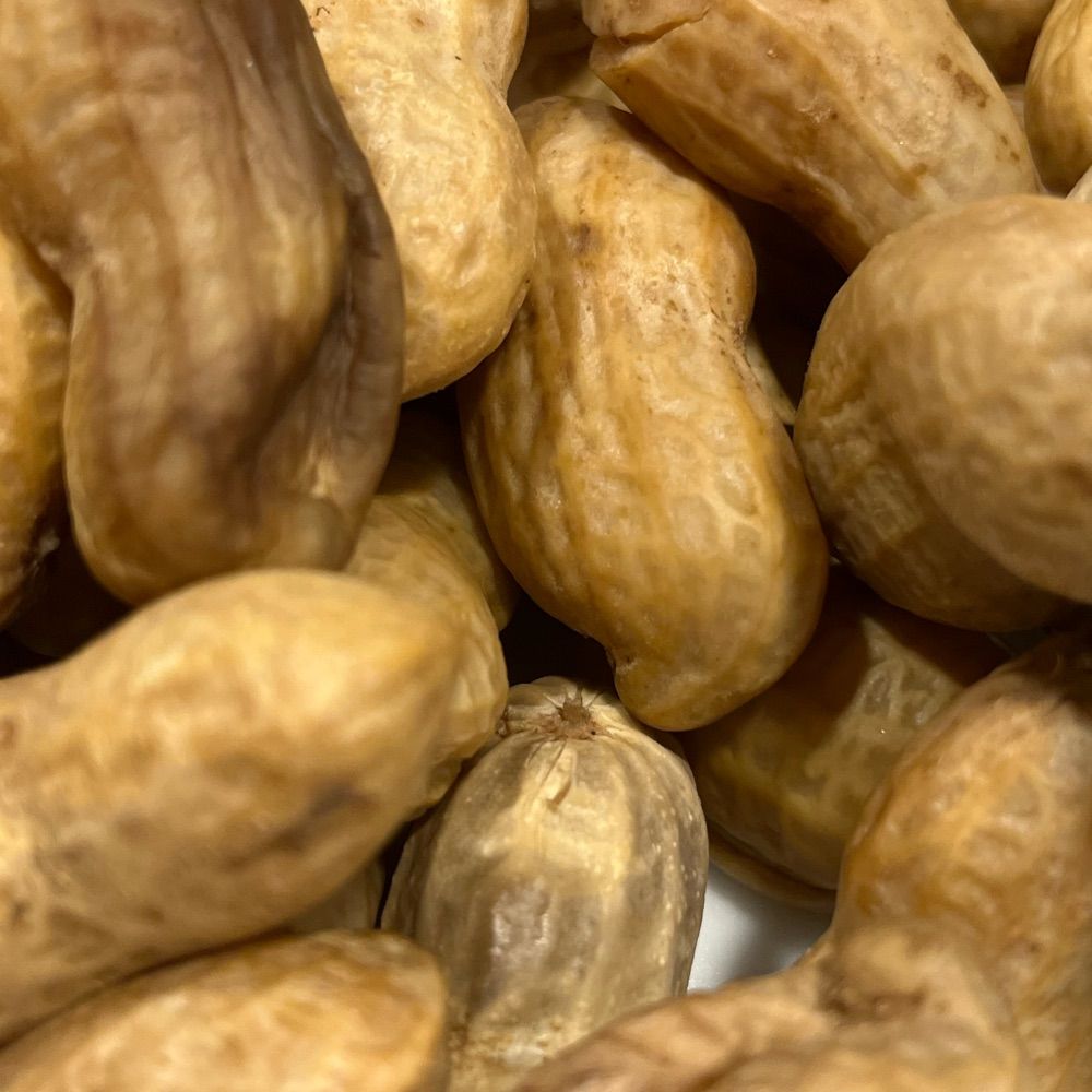 Boiled Peanuts 