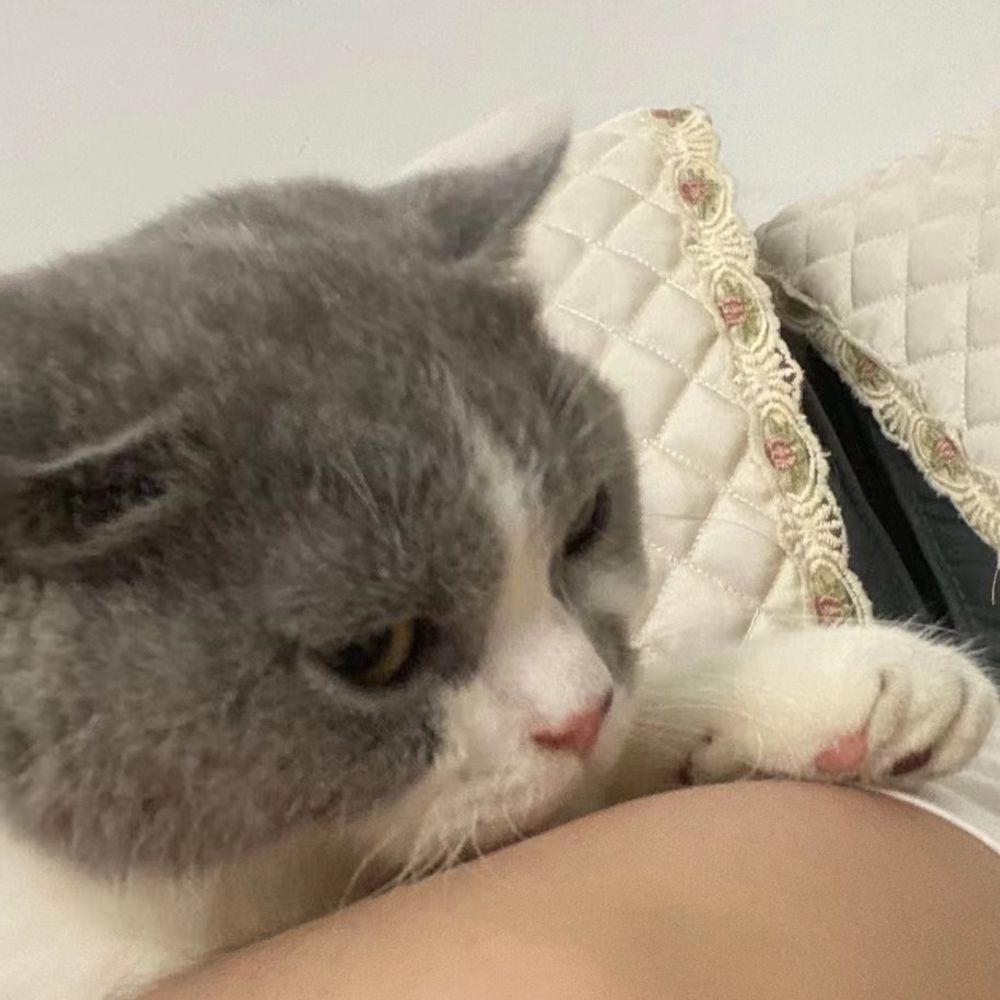 Lin
