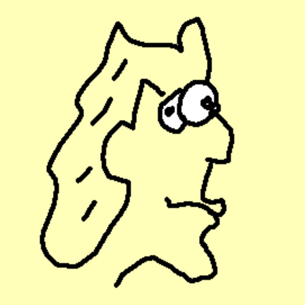 Amir
