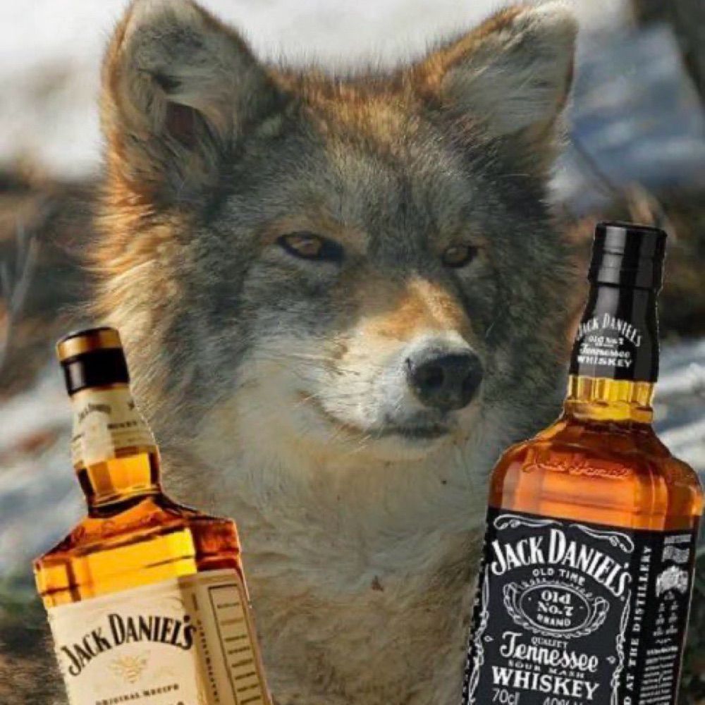 Songdog