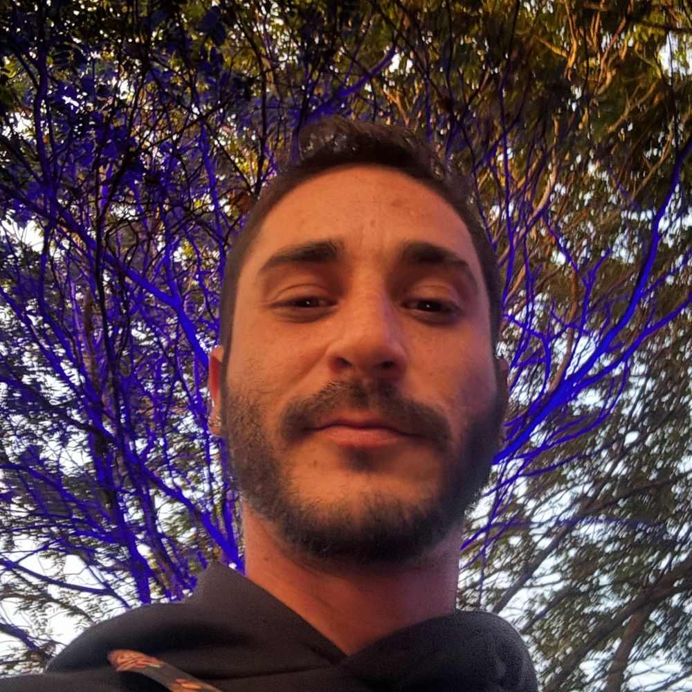 Paulo W