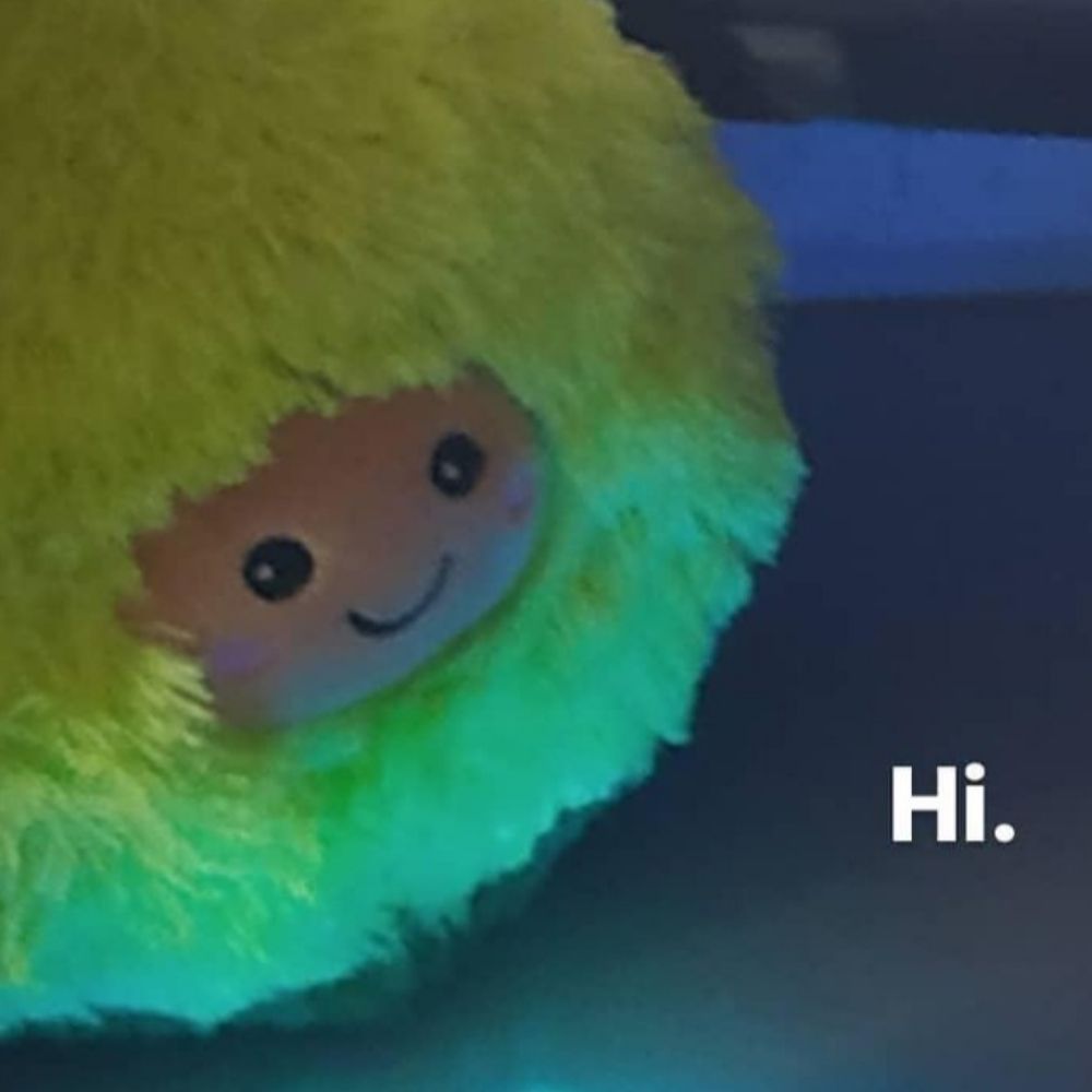 ThatAvocado_Boi