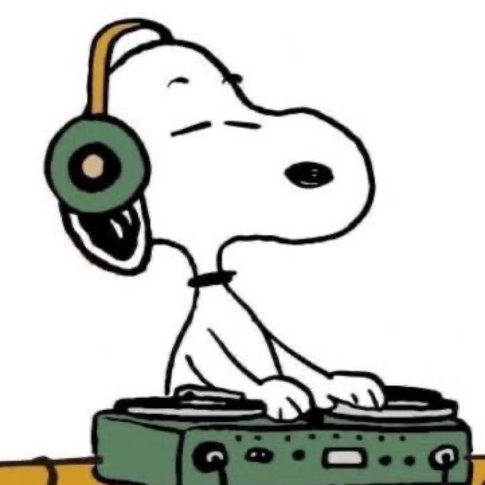 dj hoopy 