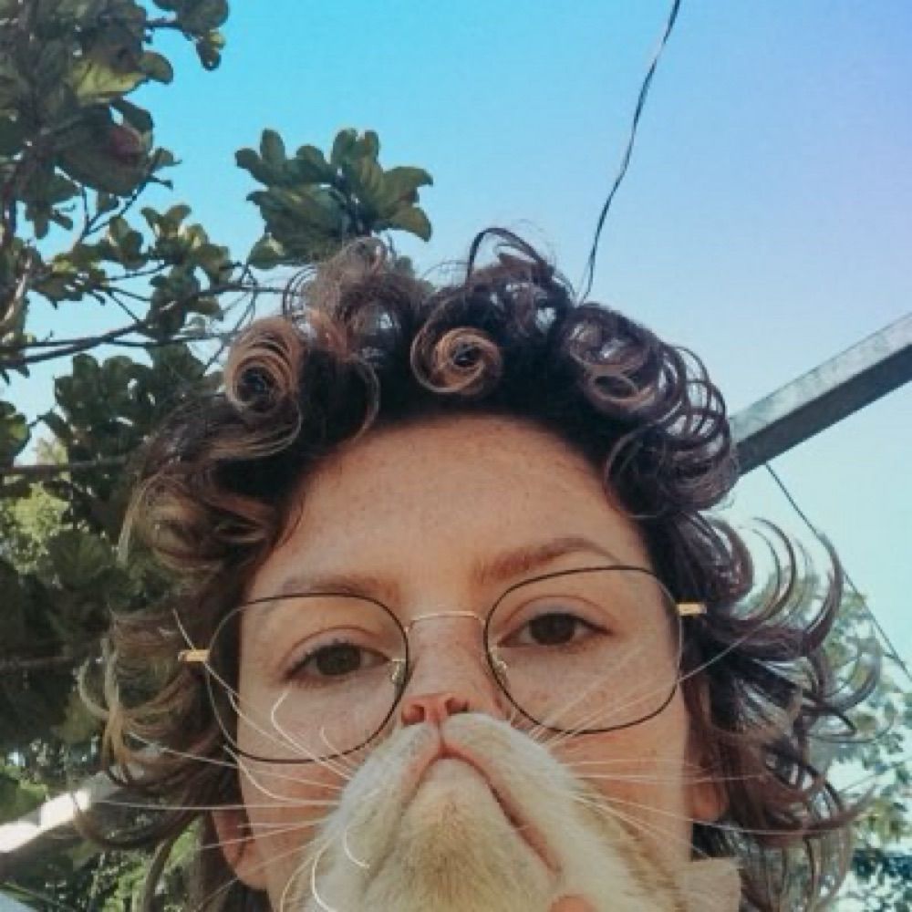 crazy cat lady