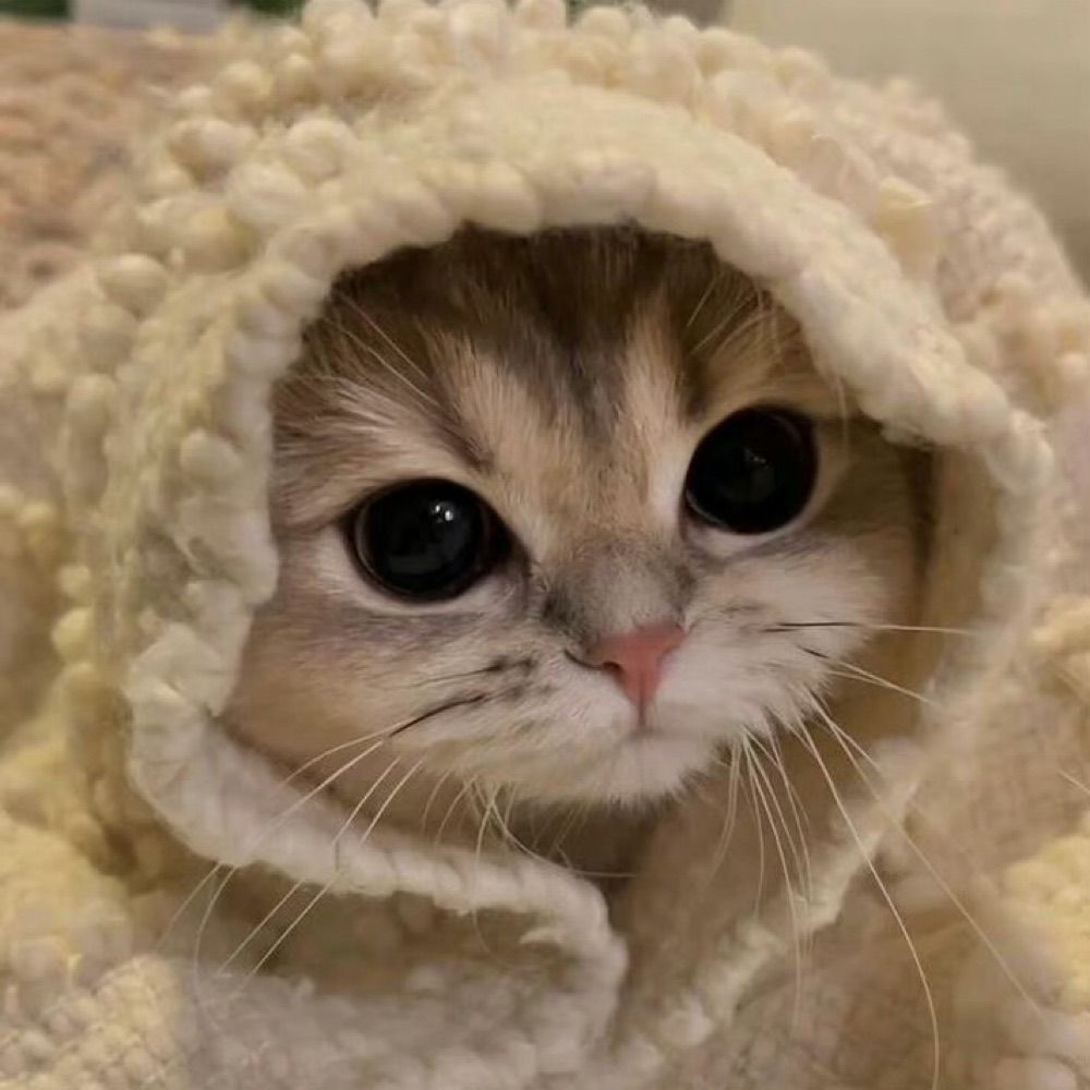 思慕