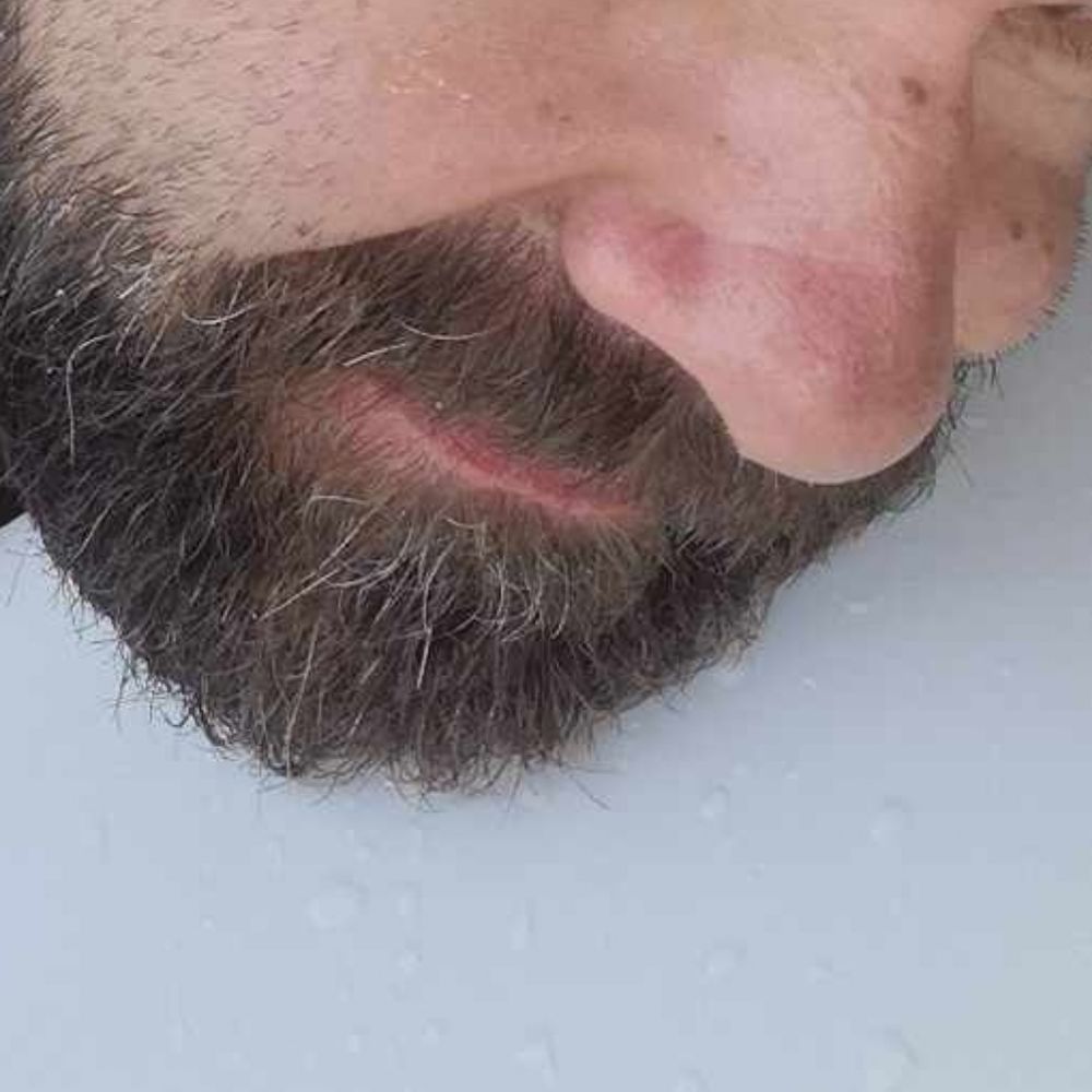 SebBear84