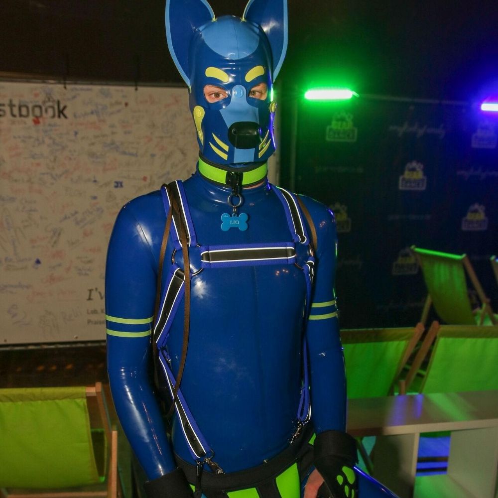RubPup-Lio
