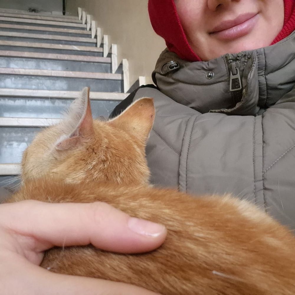 Gizthehooman 
