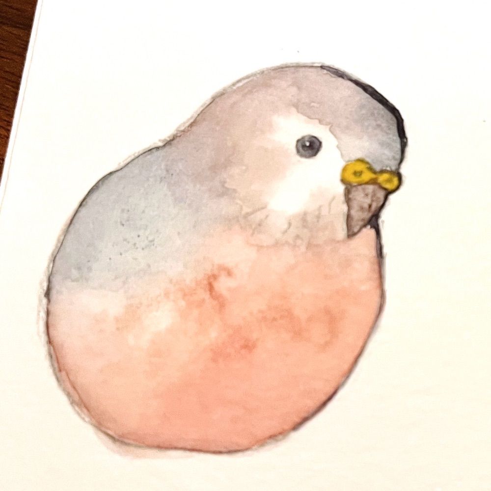 よあけまえ＠鳥
