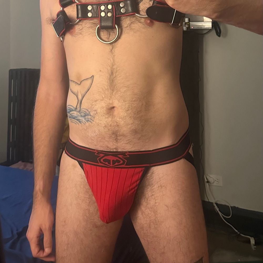 BoyPigInTheCity