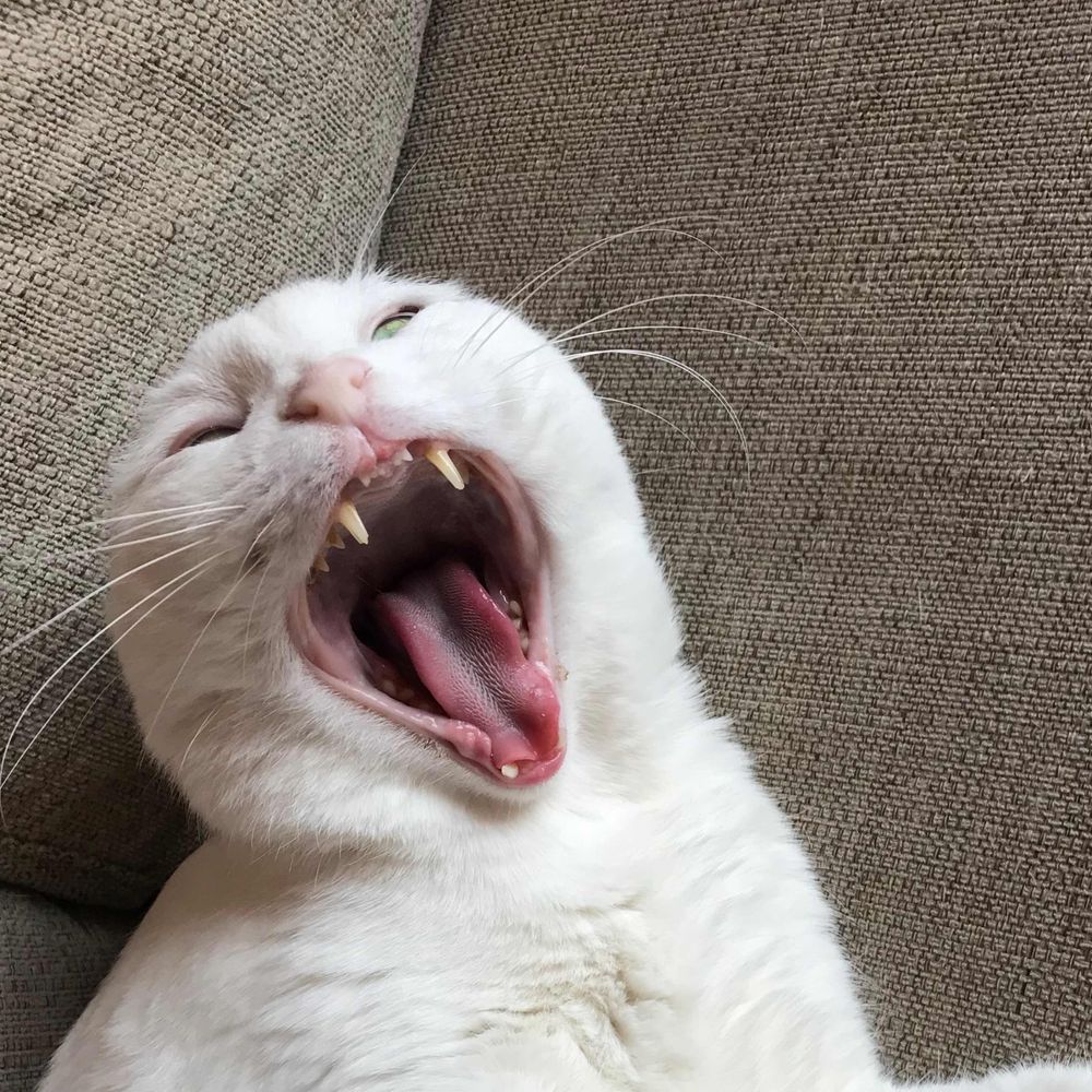 pępõ