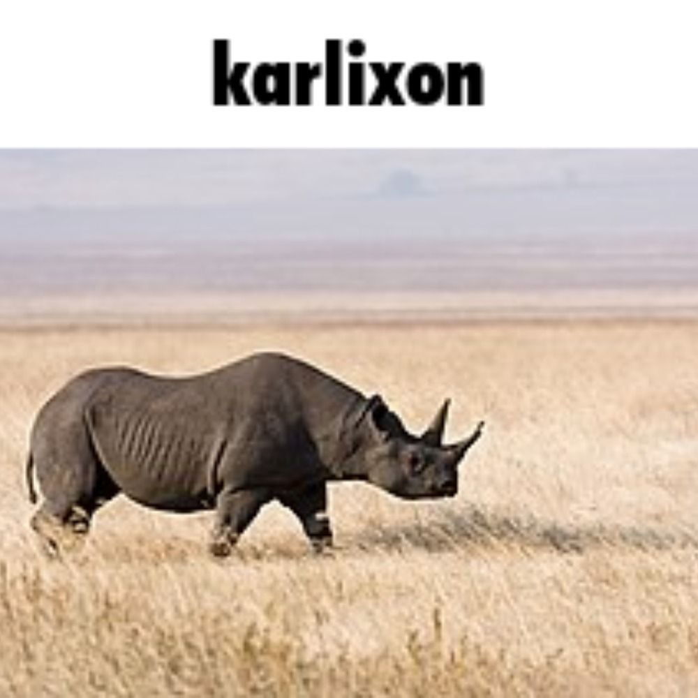 karlixon gaming