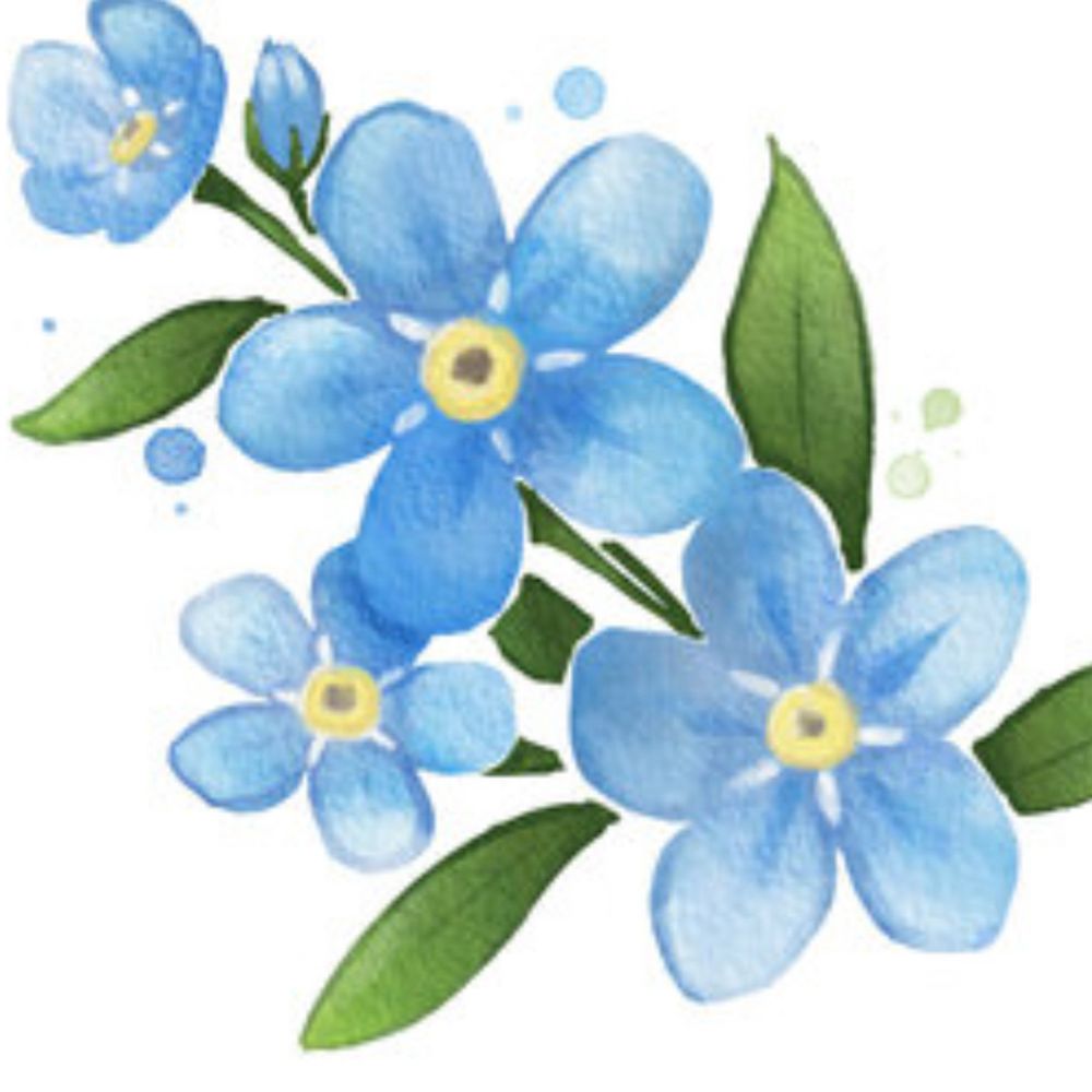 amymooney.bsky.social