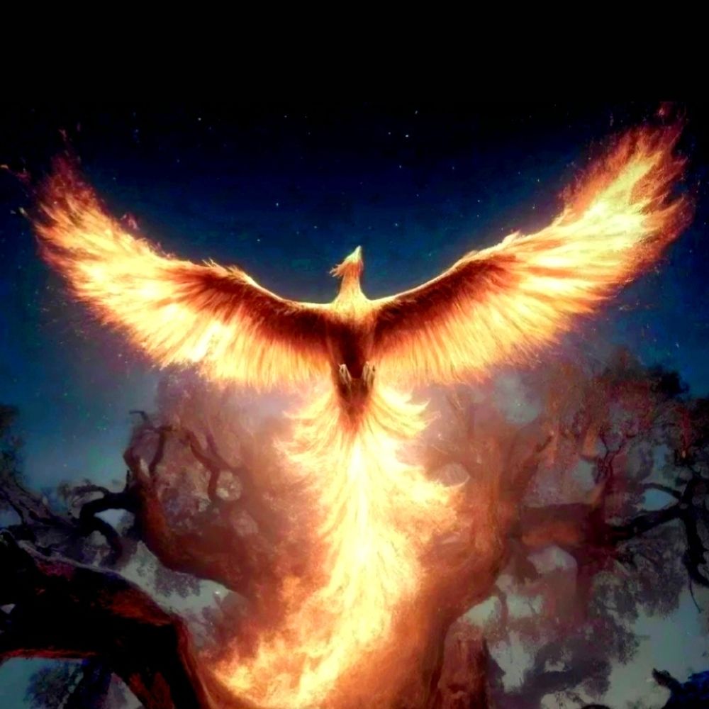 Jas Phoenix