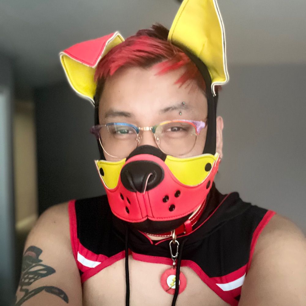 PupFlash