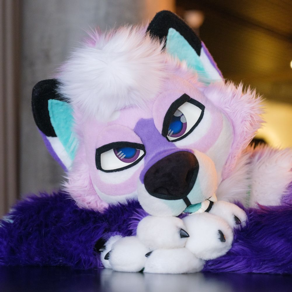 vibeshibe 🌌🔜 EF, NFC