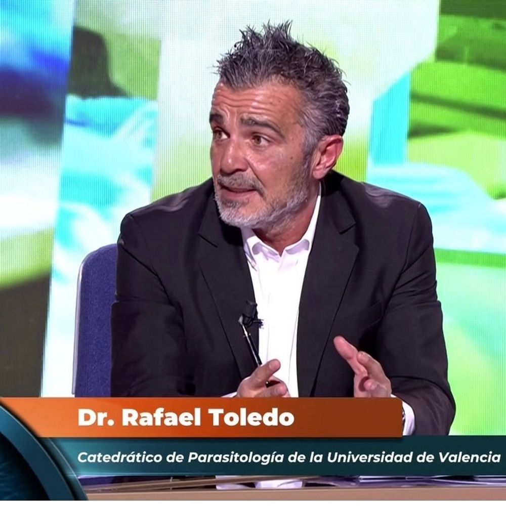 Rafa Toledo