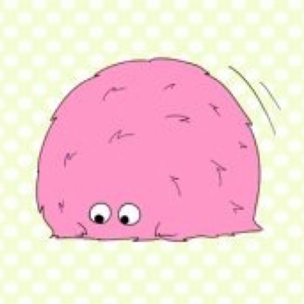 きょこ