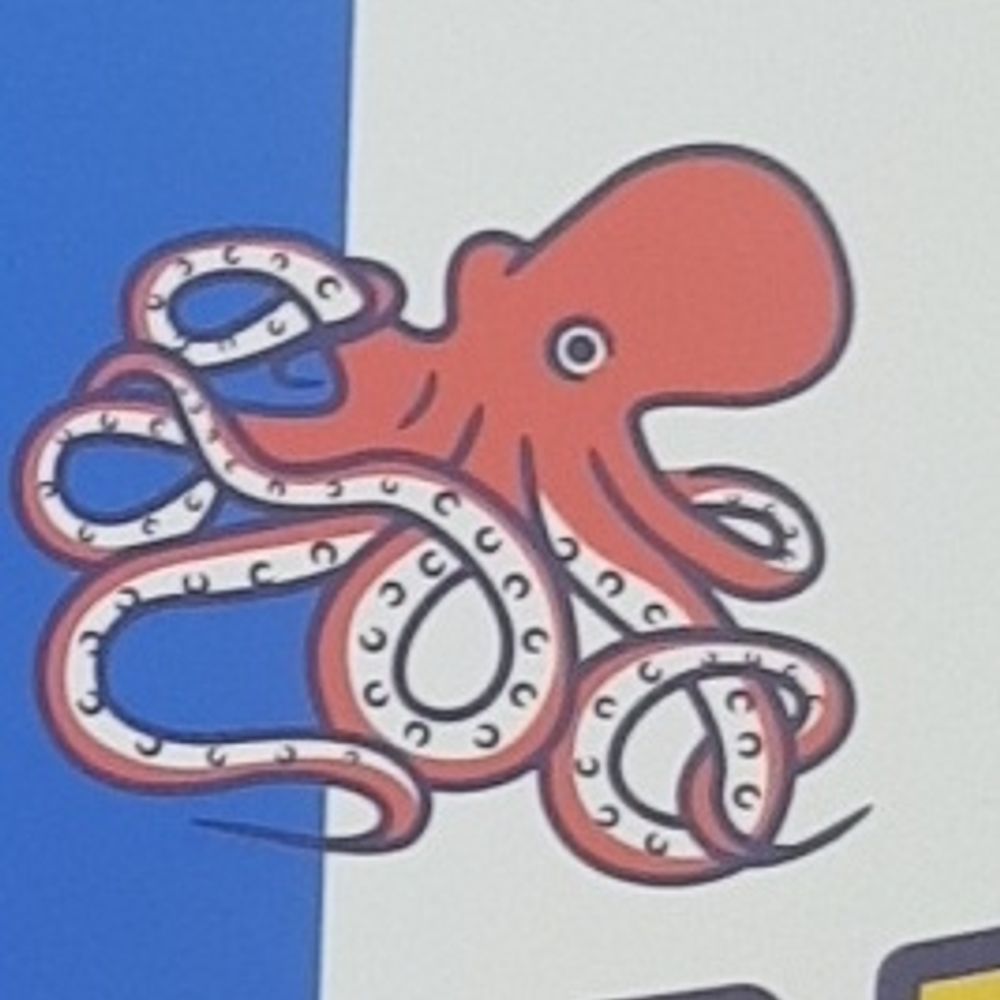 연하🦑