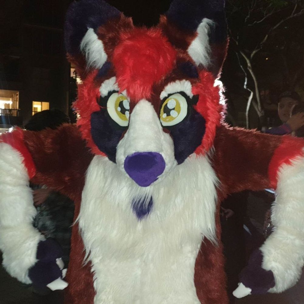 Nyla Husky