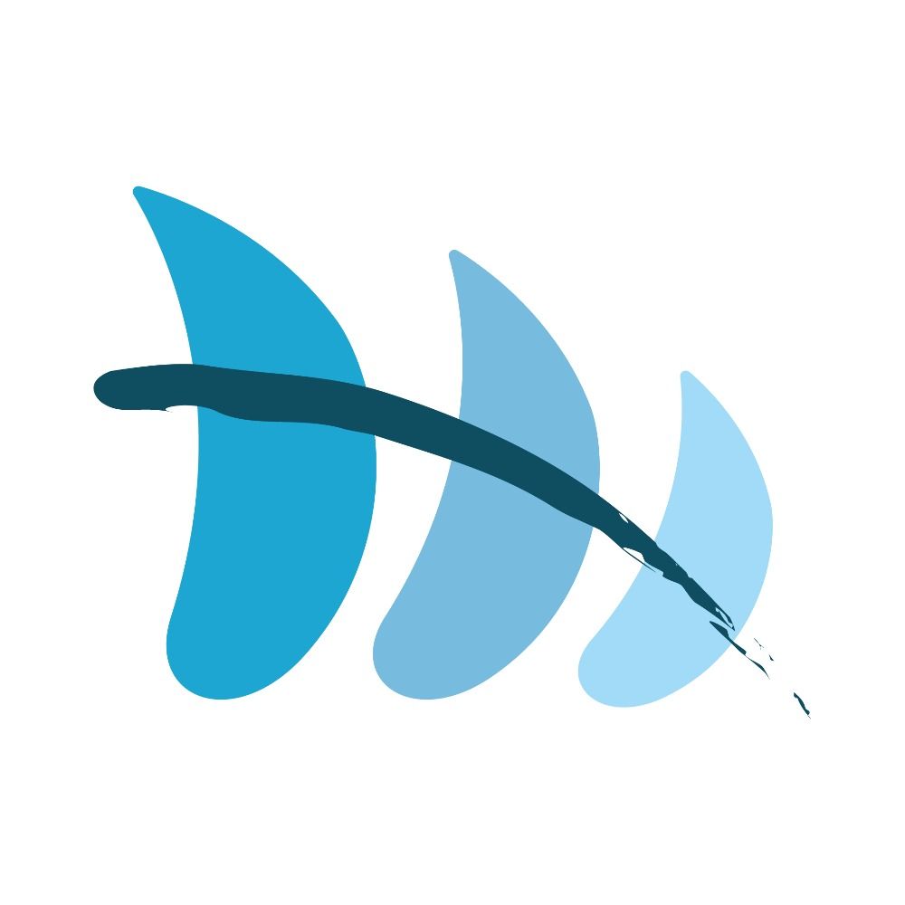 Multisolving Institute