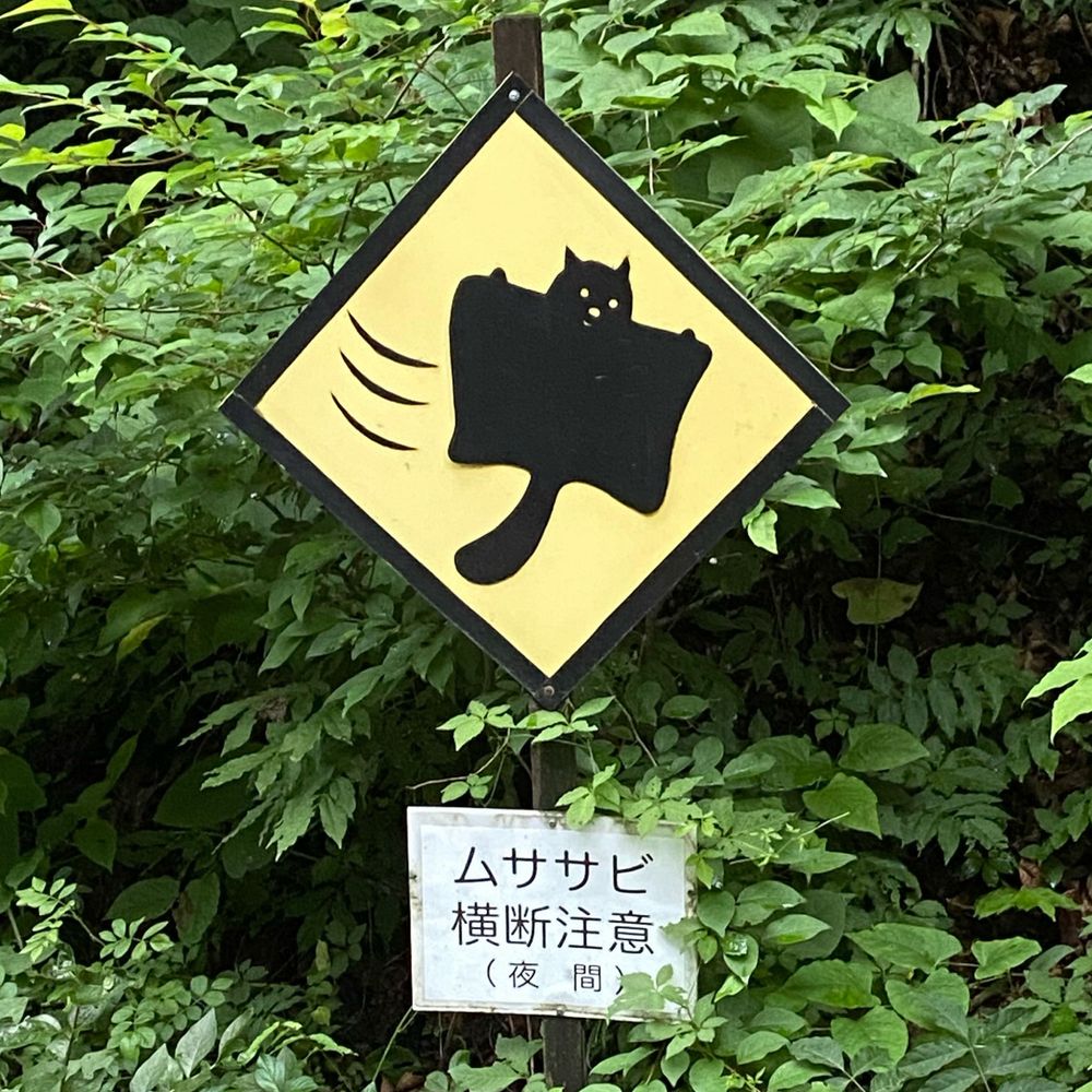 さくら