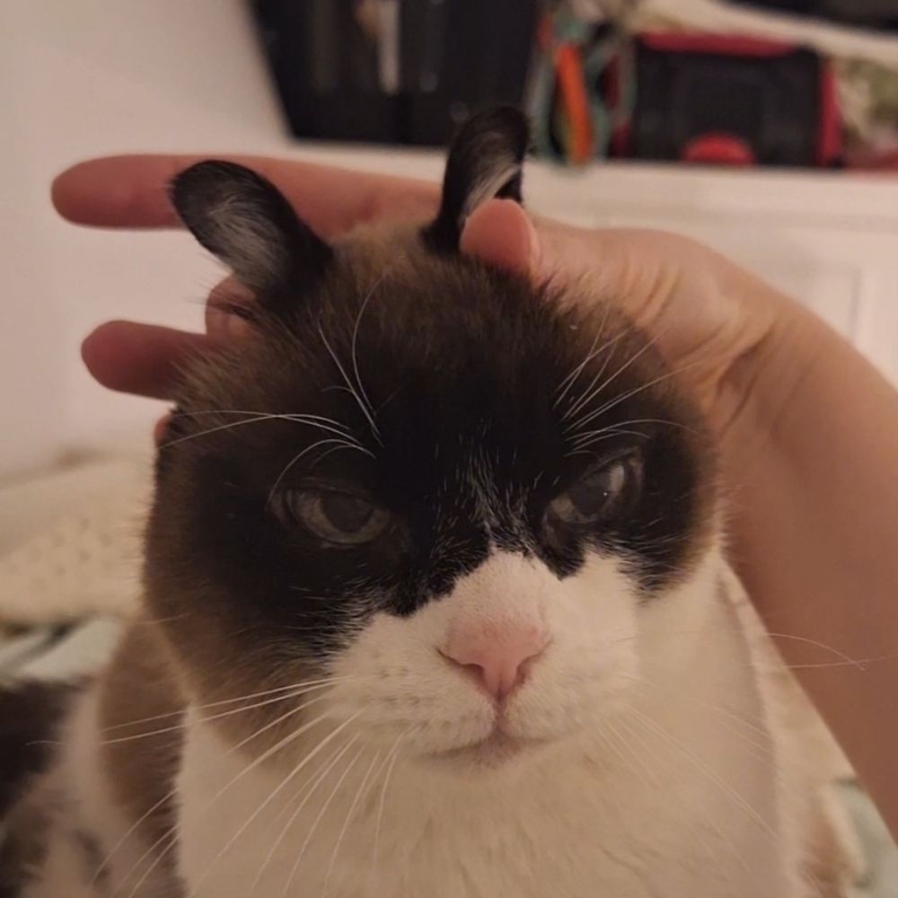 Charlie