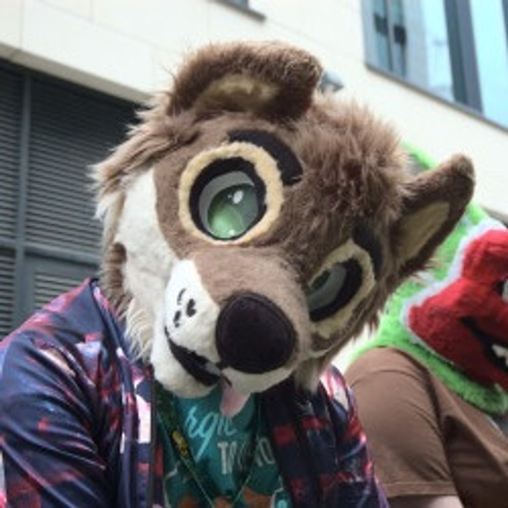 Murphy the French wolf