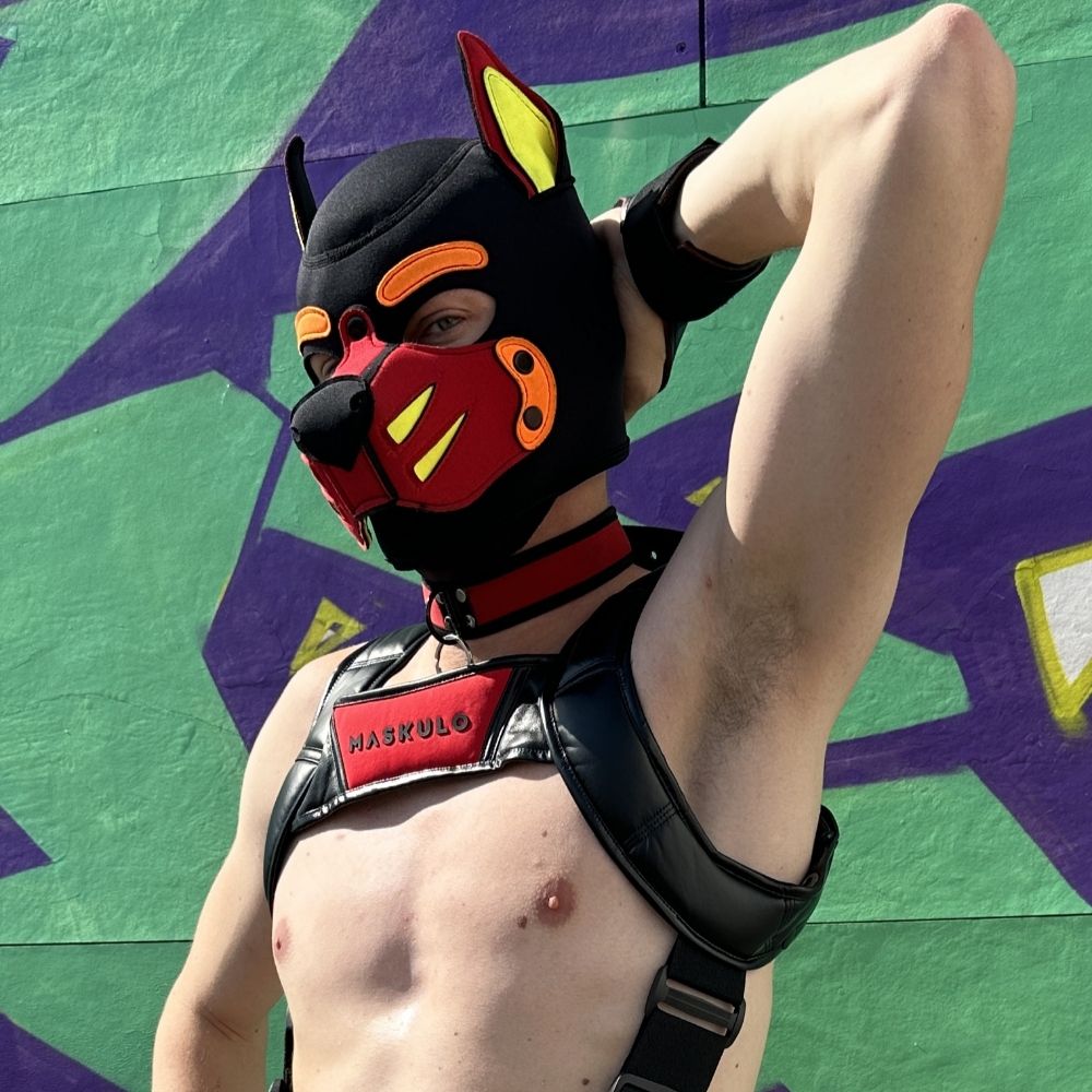 Pup Roger