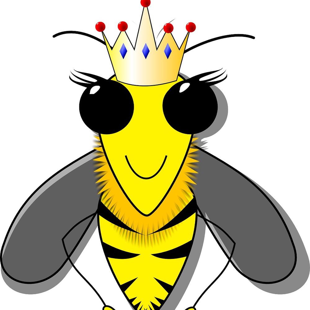 Bienenkönig's avatar