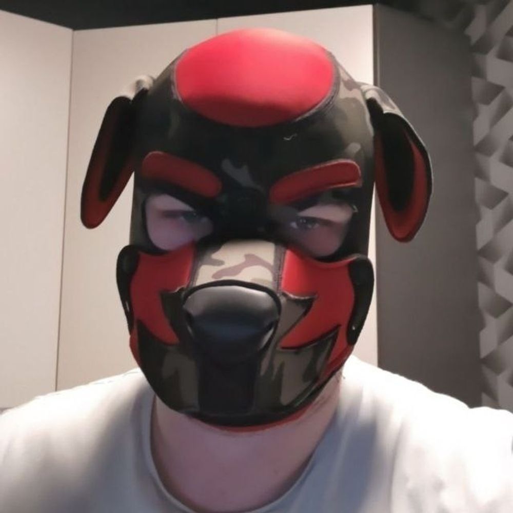 Pup Sparky