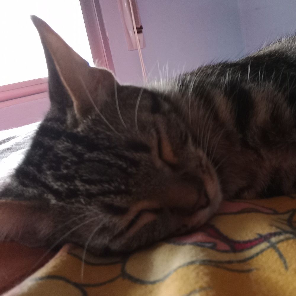 Lluna 