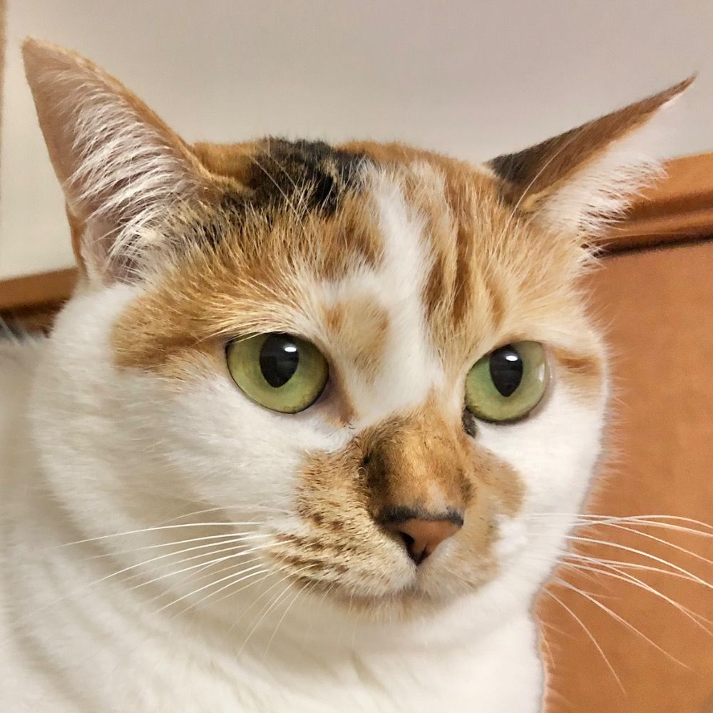 アムロン