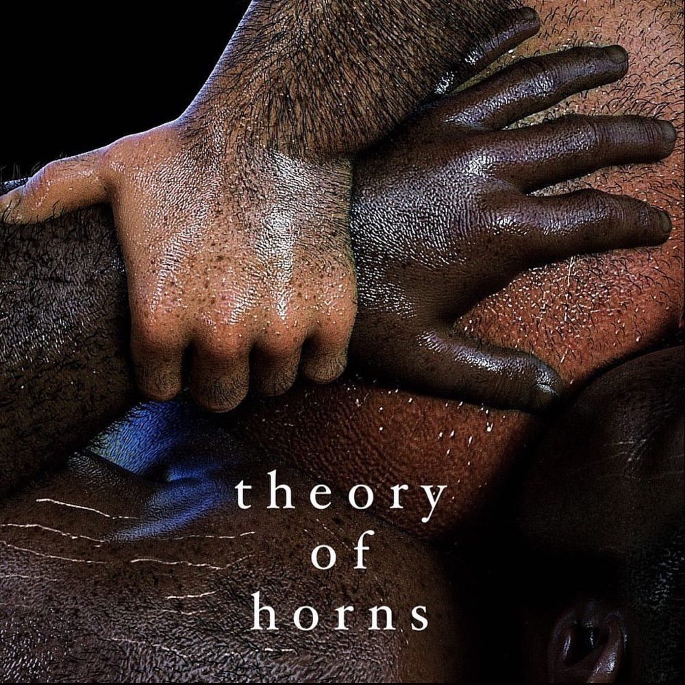 Theory of Horns