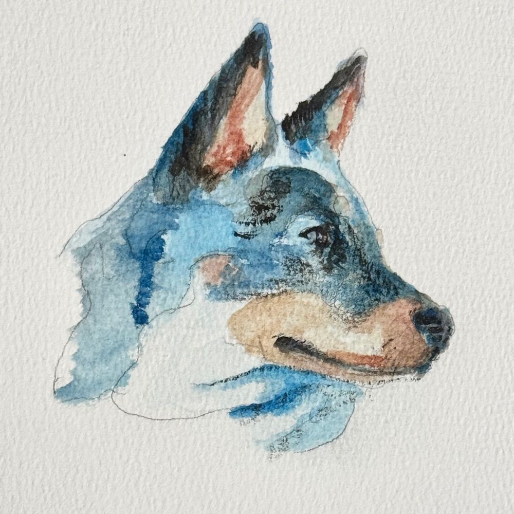 The Bluey Project