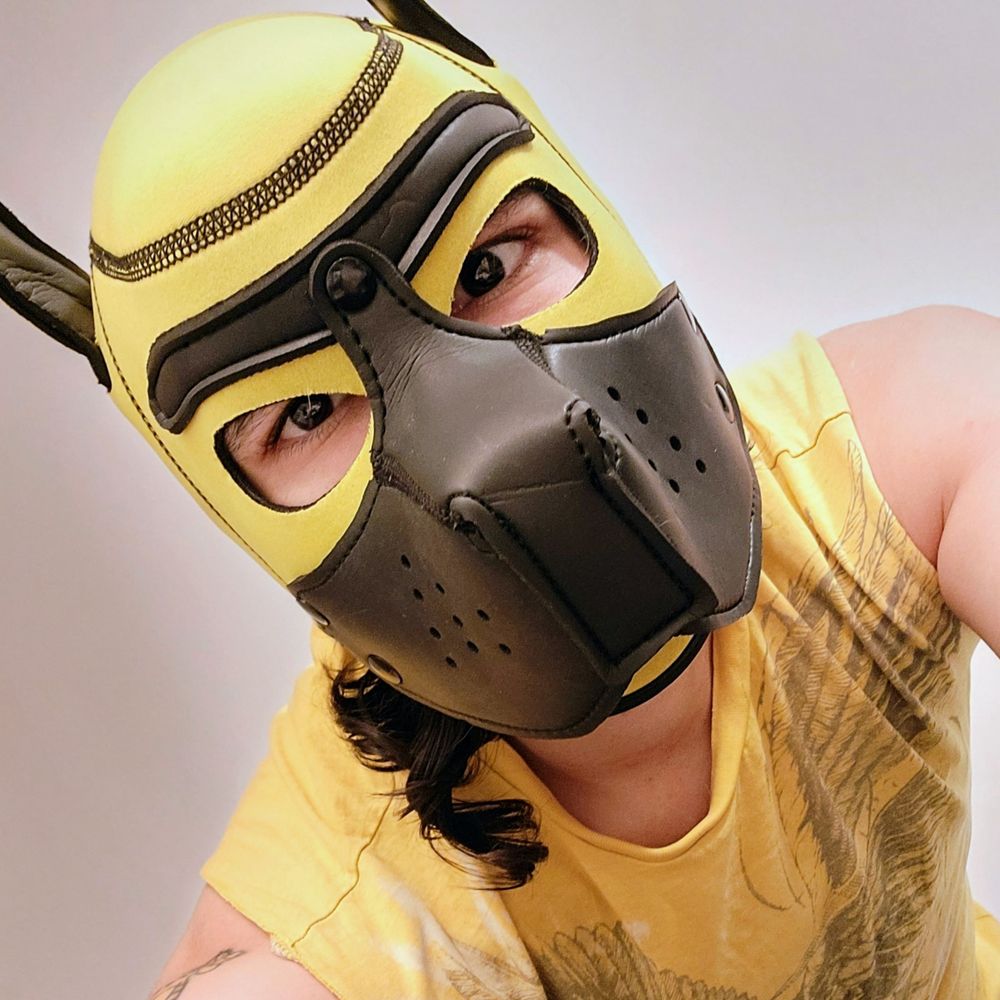 PupCaydo