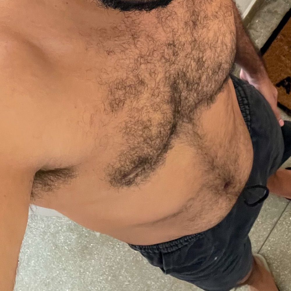 Urso BH