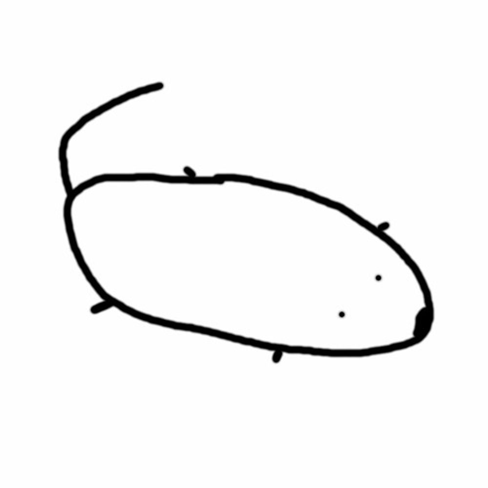 habiboi