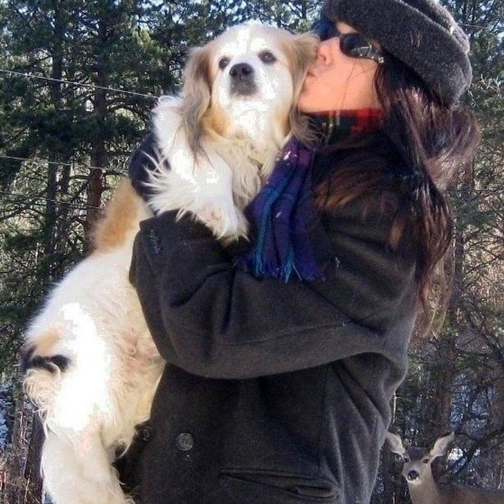 bluepleiades919.bsky.social profile picture