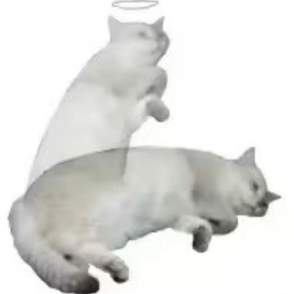 미뇨치키