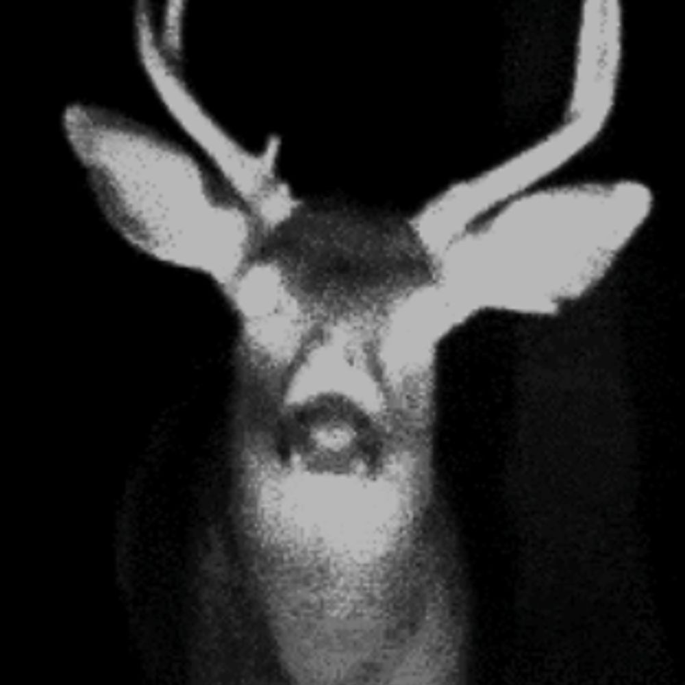 Pr3y_Animal