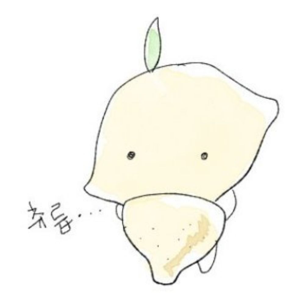 렘찌