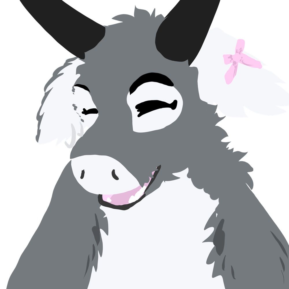 ASillyKitty