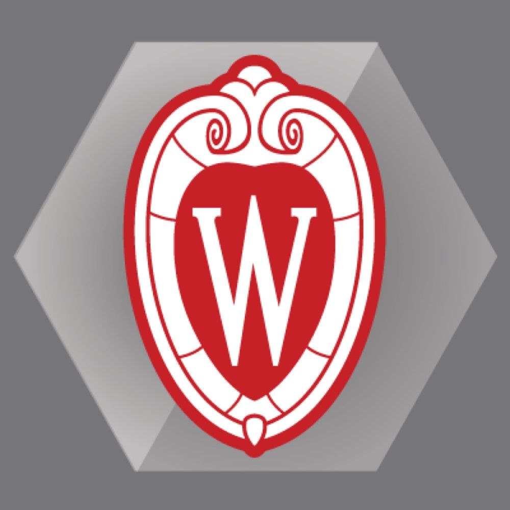 University of Wisconsin Clinical Informatics